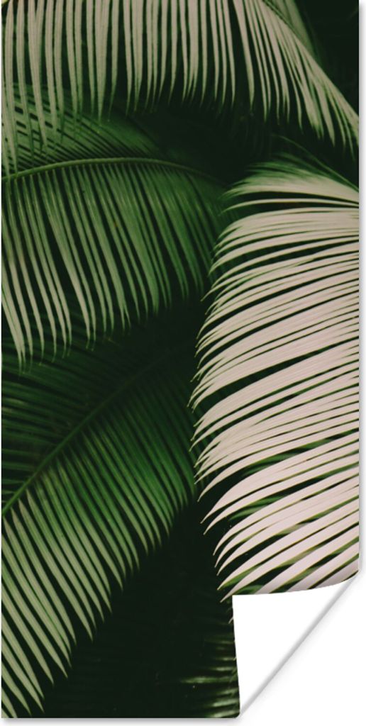 MuchoWow Poster Palmwedel - Sommer - Tropisch 75x150 cm - Dekoration für die Wände