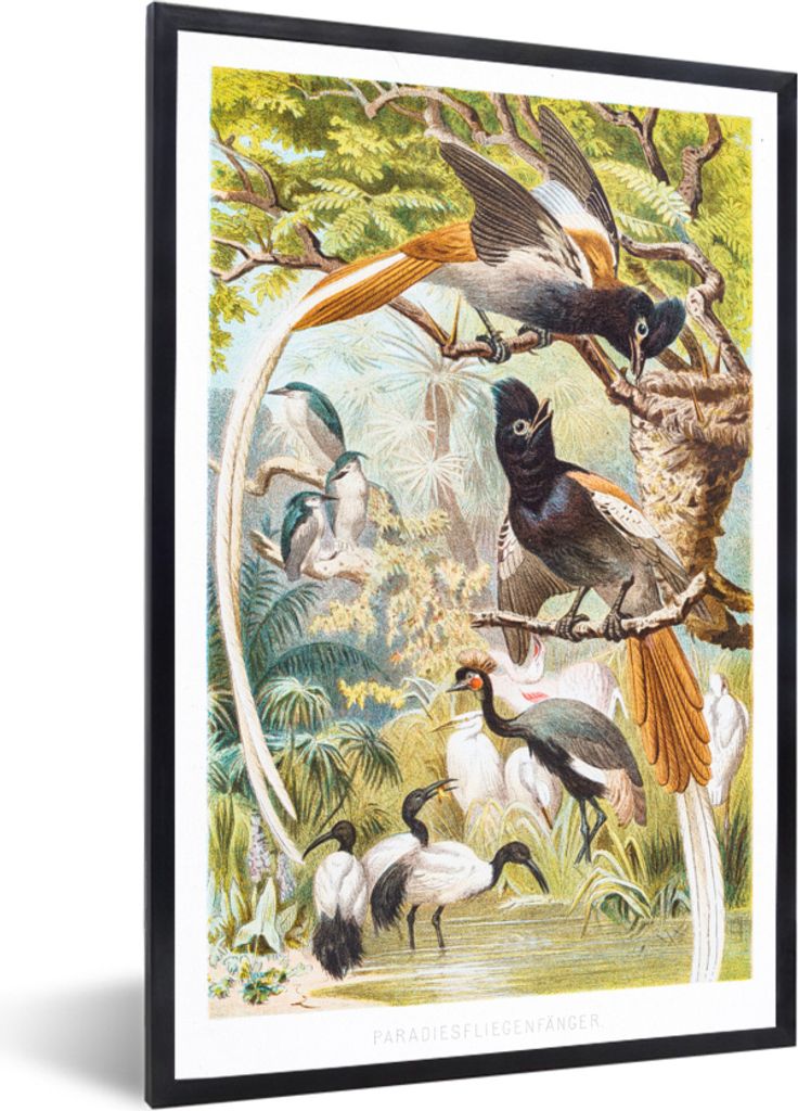 MuchoWow MuchoWow Gerahmtes Poster Antike Vogeldrucke Familie 60x90 cm - Poster mit zchwarzem Bilderrahmen - Kunst