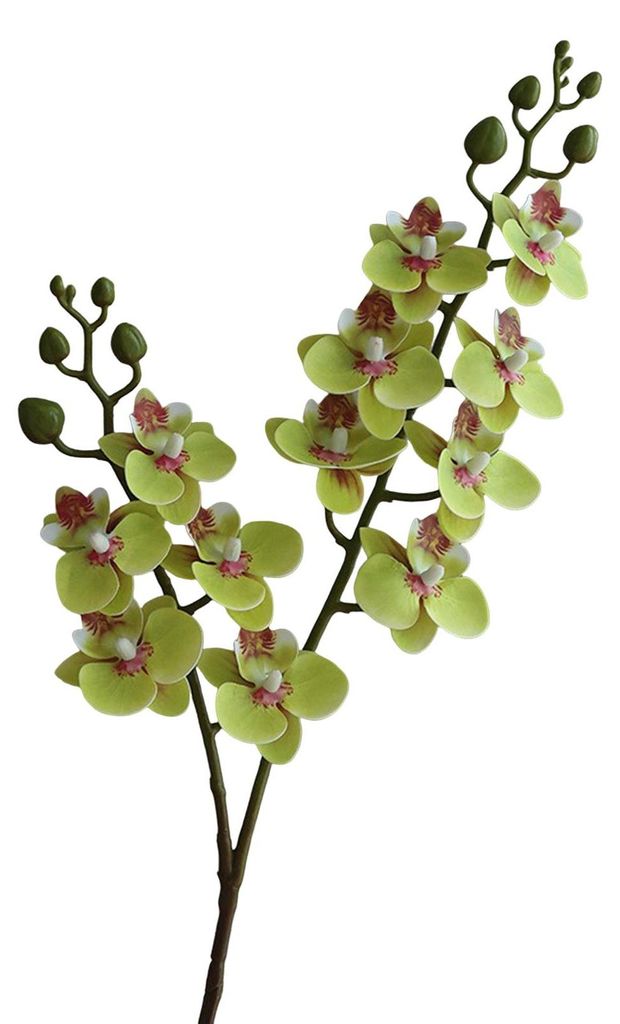 Künstliche Schmetterlingsorchideen, 2 Zweige, realistische Seidenblumen, Tischdekoration für Hochzeiten, Partys, Zuhause oder Büro, künstliche ...