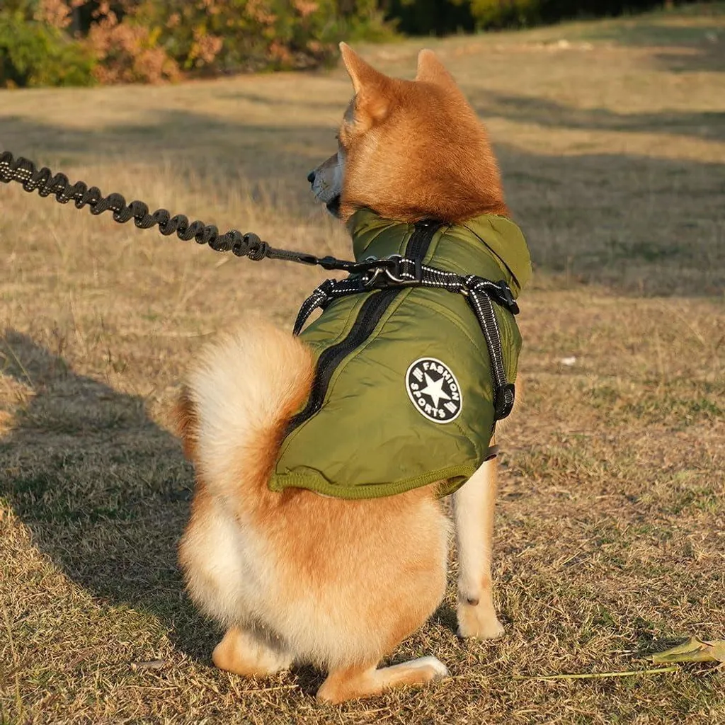 Veste Chien Anti-Froid et Pluie Allecto Premium avec Harnais Sécurisé