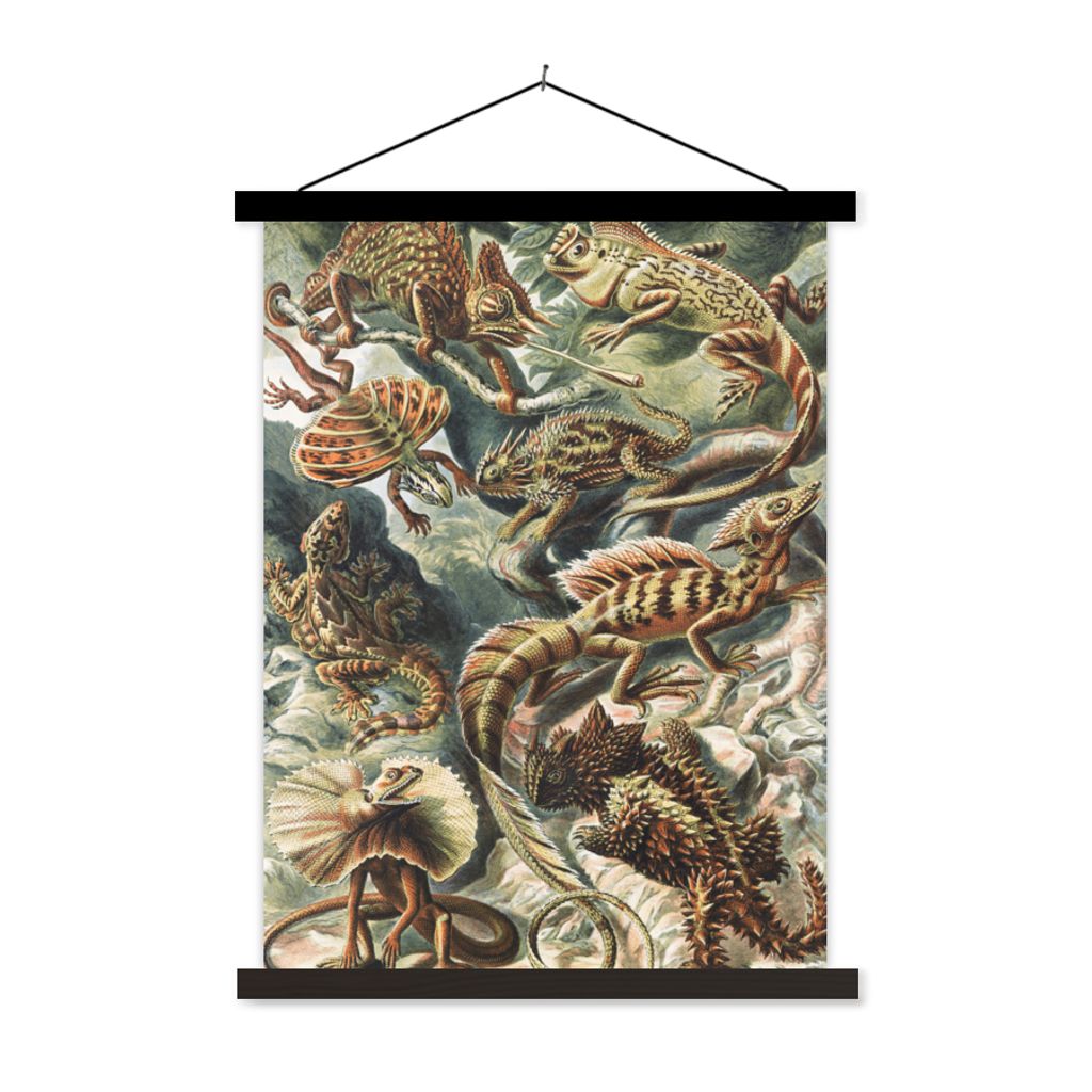 MuchoWow Textilposter Jahrgang - Kunst - Ernst Haeckel - Salamander - Tiere 90x120 cm mit schwarzem Rahmen - Dekoration