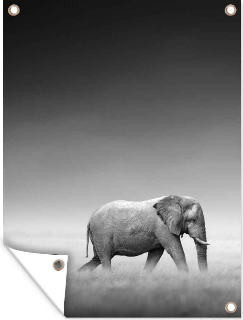 MuchoWow 30x40 cm Outdoor-Poster Gartendeko Sichtschutz Garten Poster für den Garten Elefant - Tiere - Landschaft - Schwarz und weiß - Zebra