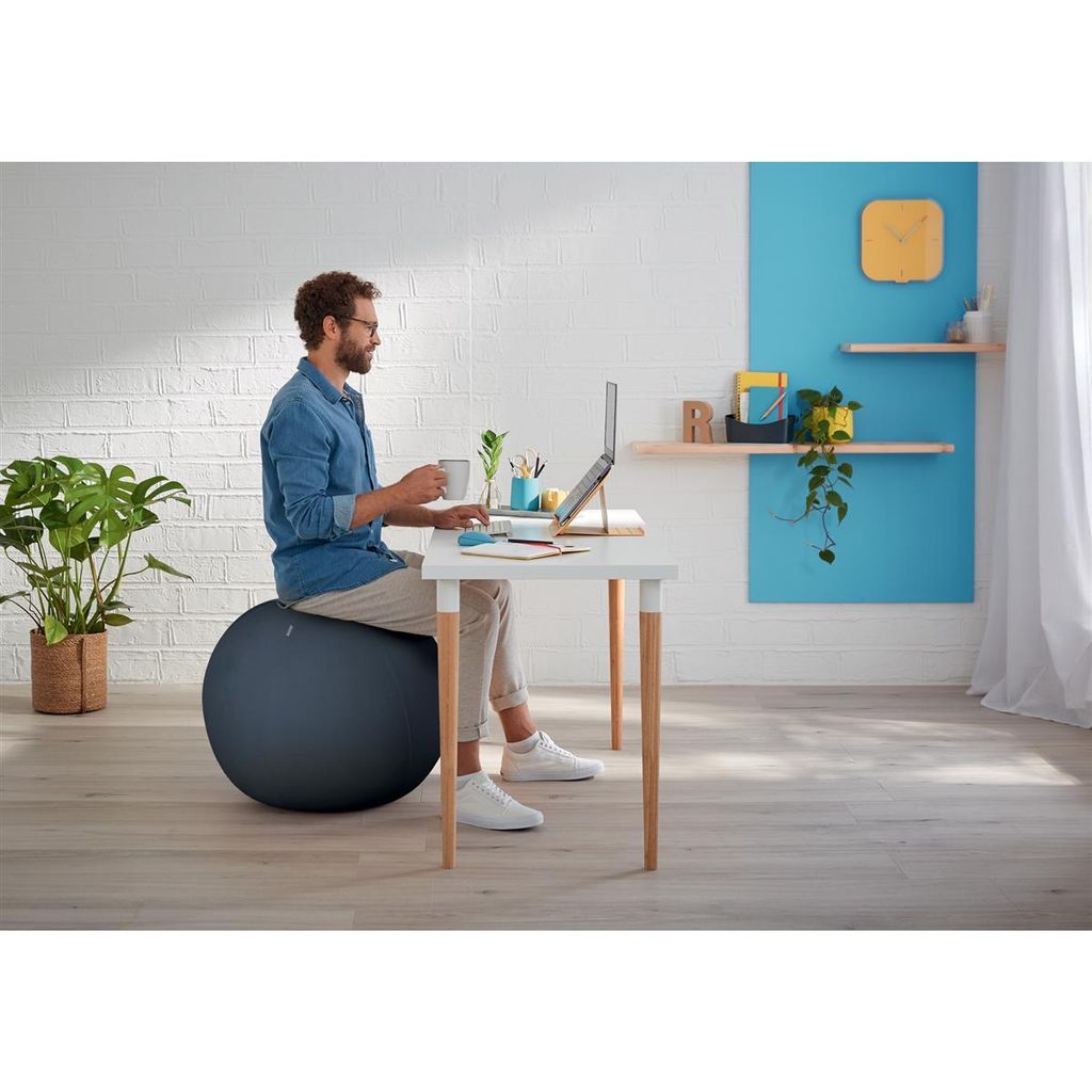 Leitz Ergo Cosy Grey Indoor Round Obrázek produktu 19