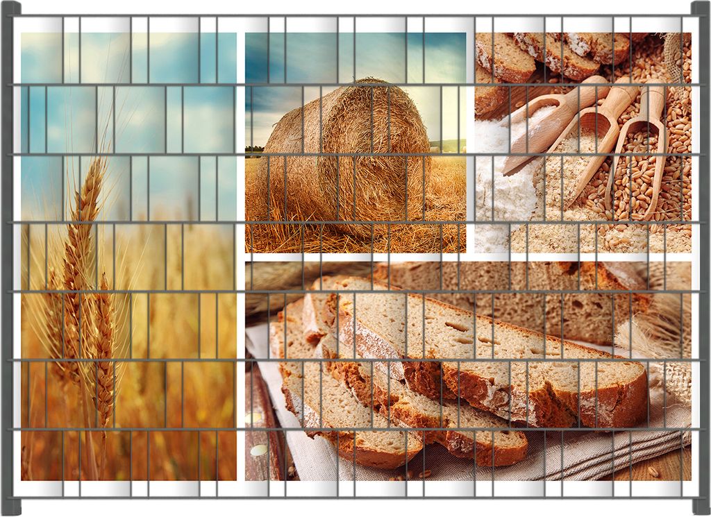 Wallario Zaunsichtschutz mit Motiv Weizen und Mehl Vom Korn zum Brot für Ein- und Doppelstabmatten Zäune in der Größe 200 x 140 cm