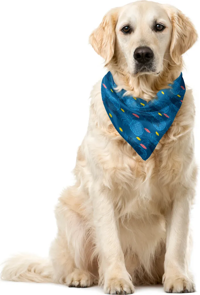 Bandana Professionale Pet ABAKUHAUS 55x55 - Blu Notte Ananas