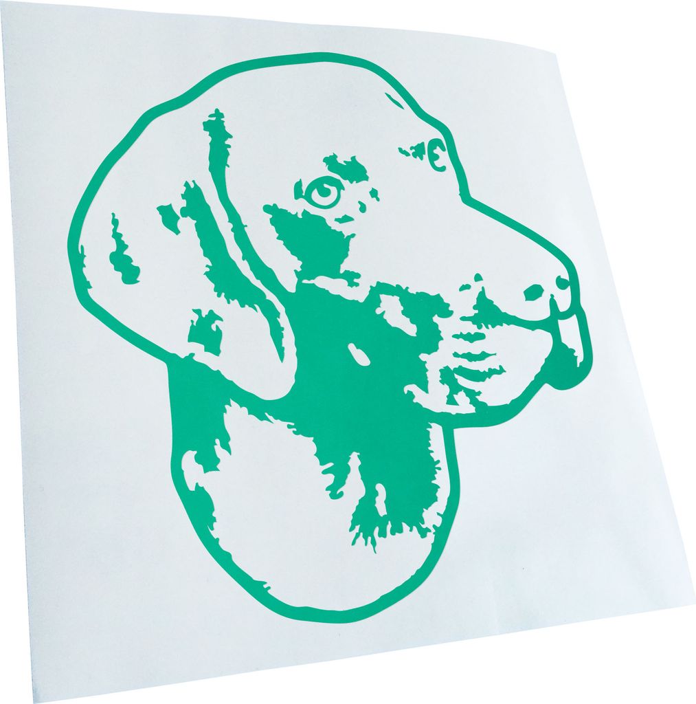 Kiwistar - Autoaufkleber - German shorthaired pointer Hund - Türkis - 50x45cm - Aufkleber für Auto, Laptop, Fahrrad, LKW, Motorrad mehrfarbig JDM...