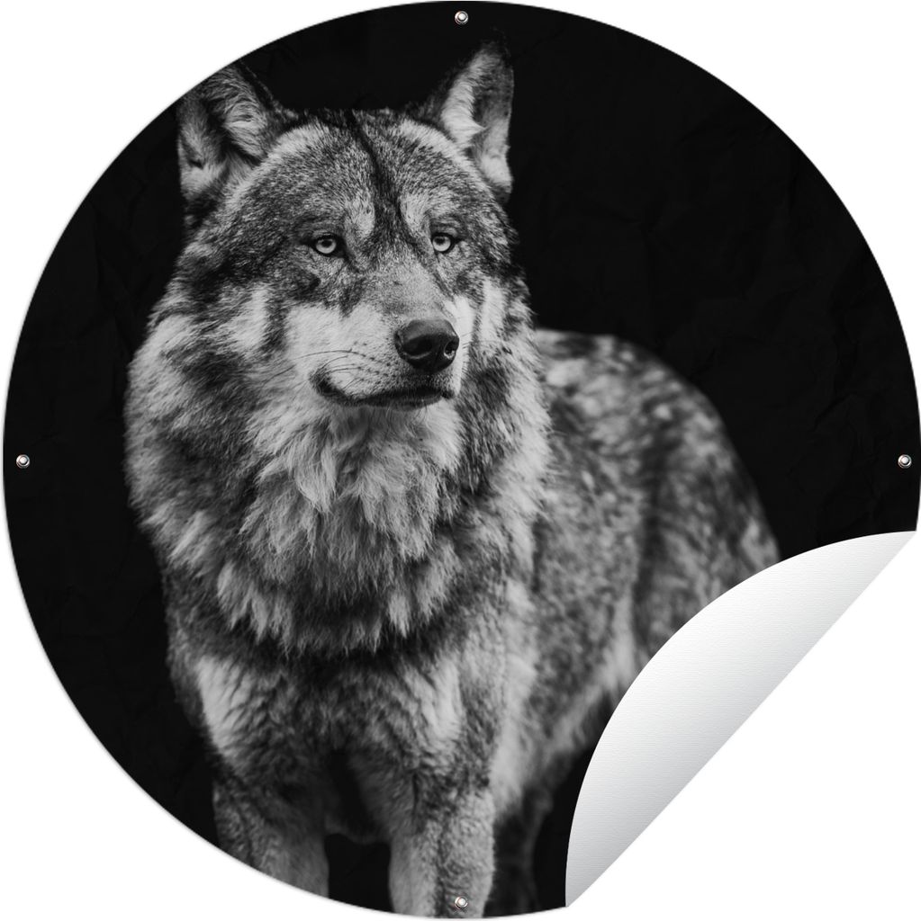 MuchoWow Gartenposter Outdoor-Poster Rund Wolf - Tiere - Wild - Schwarz - Weiß Ø 120 cm Gartendeko Rundes Poster draußen