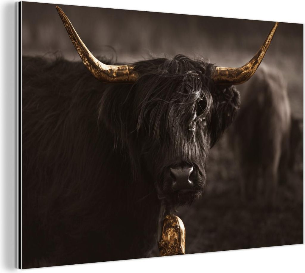 MuchoWow Wanddekoration Metall Metallbild Wandkunst 90x60 cm Schottisches Hochlandrind - Gold - Kuhglocke - Hörner - Tiere MuchoWow Aluminium Gem...