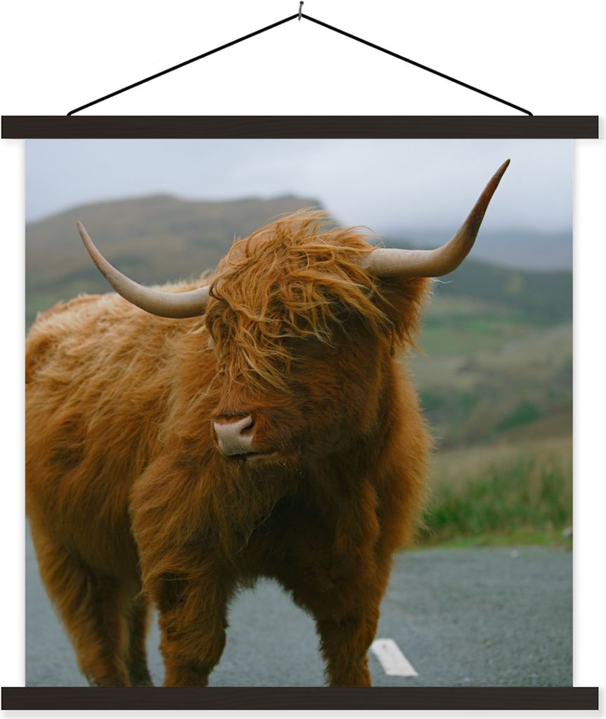 MuchoWow Textilposter Schottisches Hochlandrind - Berg - Straße 40x40 cm mit schwarzem Rahmen - Fotos