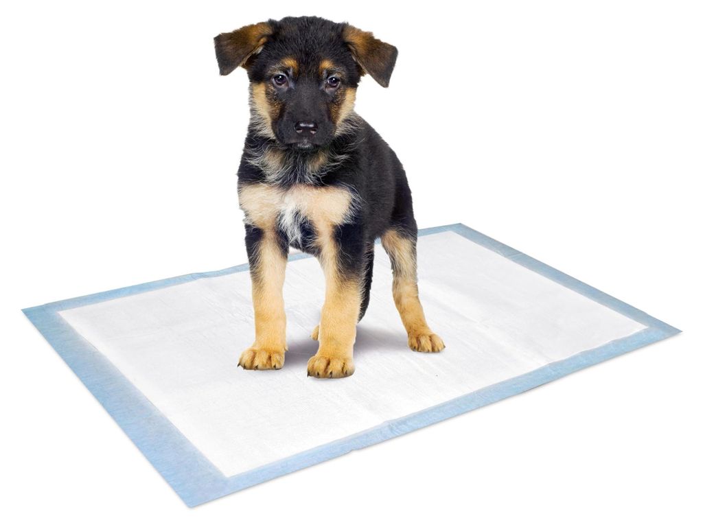 Karlie Training Pads Puppy M Trempage Transparent 60x40 cm Image du produit 