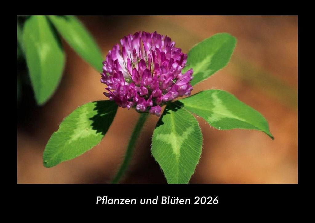 Pflanzen und Blüten 2026 Fotokalender - Querformat DIN A3, Monatskalender mit Bild-Motiven aus Fauna und Flora, Natur, Blumen und Pflanzen