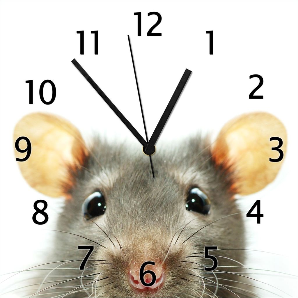 Wallario Design Wanduhr Maus am Tellerrand aus Echtglas, Produktbild 