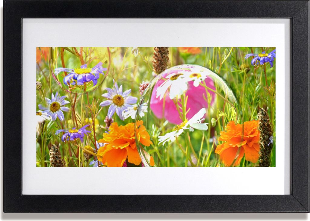 Bild 30x20 MDF-Rahmen Wandkunst Blumen Pflanzen Natur