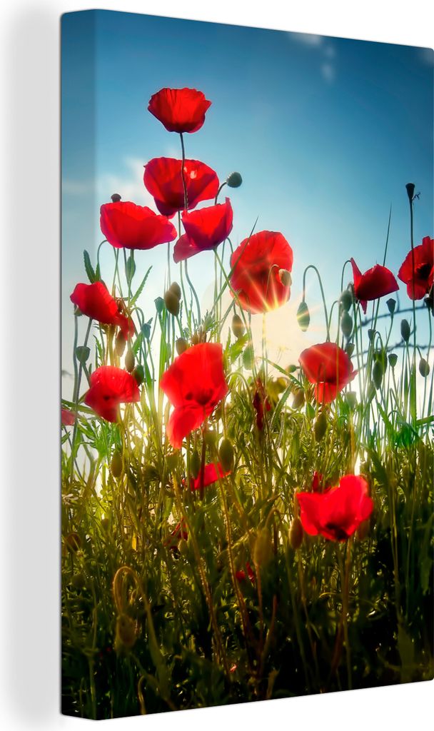 OneMillionCanvasses - Leinwandbilder - 90x140 cm, Mohnblumen - Toskana - Sonne - Rot - Blau, Wandbilder Kunstdruck Wanddekoration - Foto auf Lein...