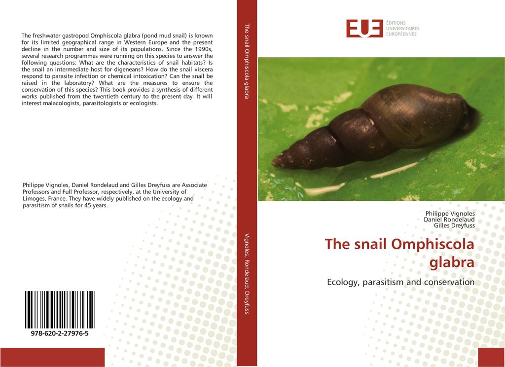 The snail Omphiscola glabra