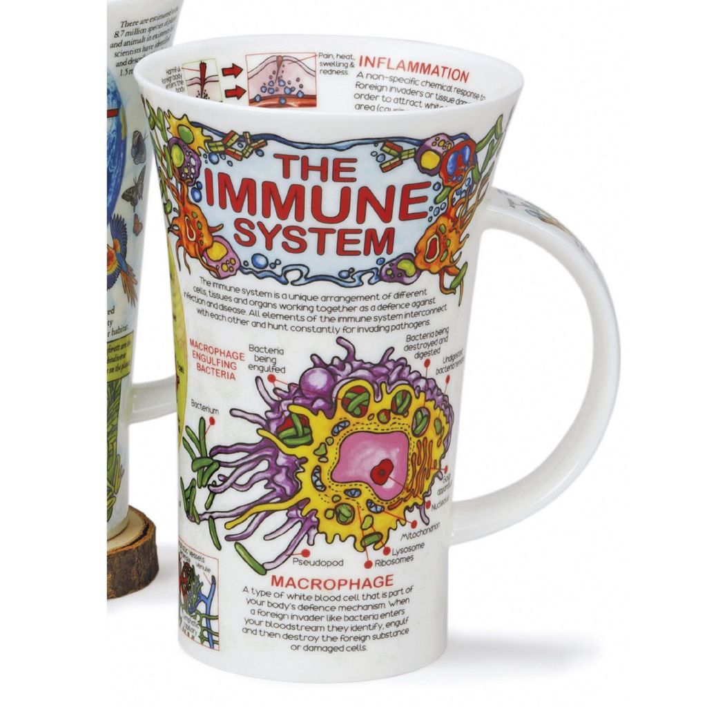Dunoon Jumbobecher Glencoe Immune System Immunsystem für 500ml Formano