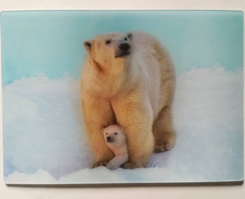 3 D Ansichtskarte Eisbären, Postkarte Wackelkarte Hologrammkarte, Tier Eisbär