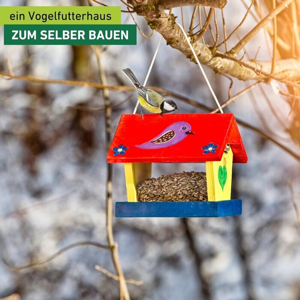 Vogelfutterhaus Bausatz inkl. Farben & Pinsel für Kinder Produktbild 