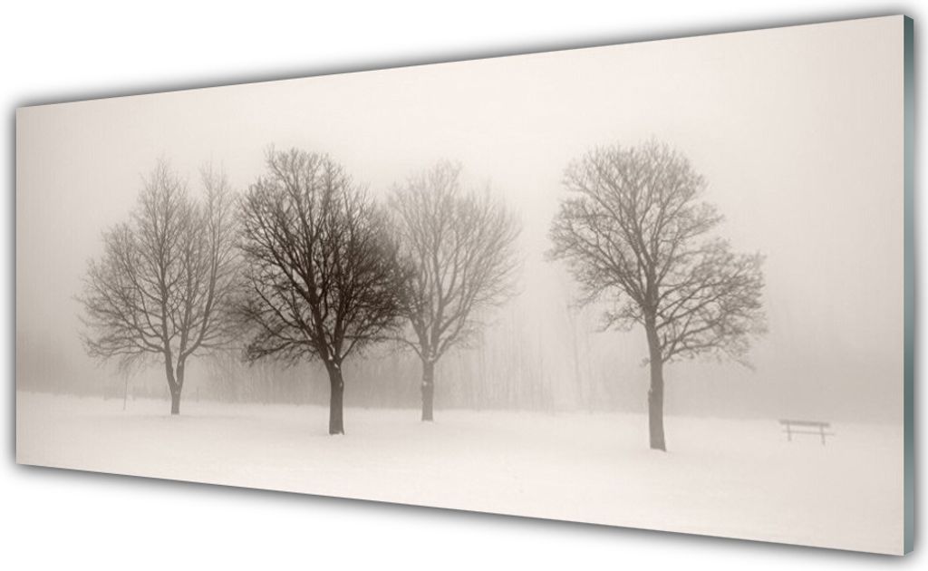 Acrylglasbilder 125x50 Wandbild Druck Schnee Bäume Produktbild 