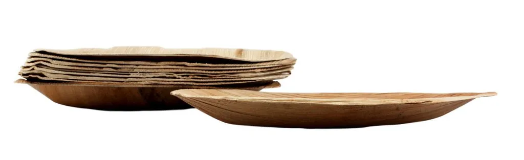 Assiettes en Palme 21 cm Bio et Robustes - Lot de 100 Forme Ovale Chic - 3