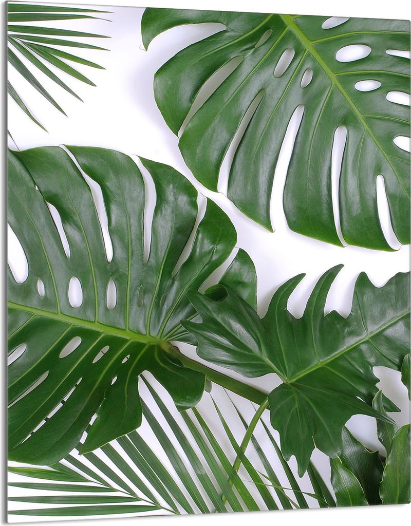 Glasschneidebrett 40x52 Monstera