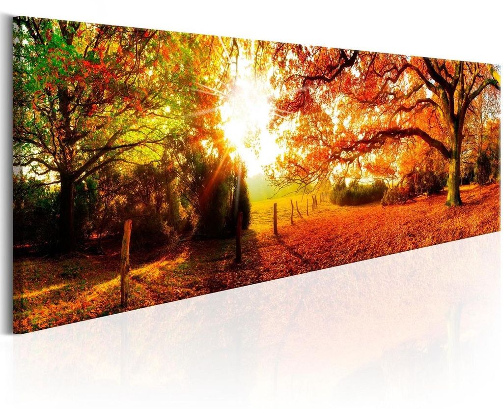 5743 Herbstwald Leinwandbild 120x40 cm
