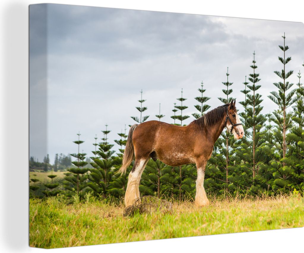 OneMillionCanvasses - Leinwandbilder - 140x90 cm, Clydesdale - Gras - Pferde, Wandbilder Kunstdruck Wanddekoration