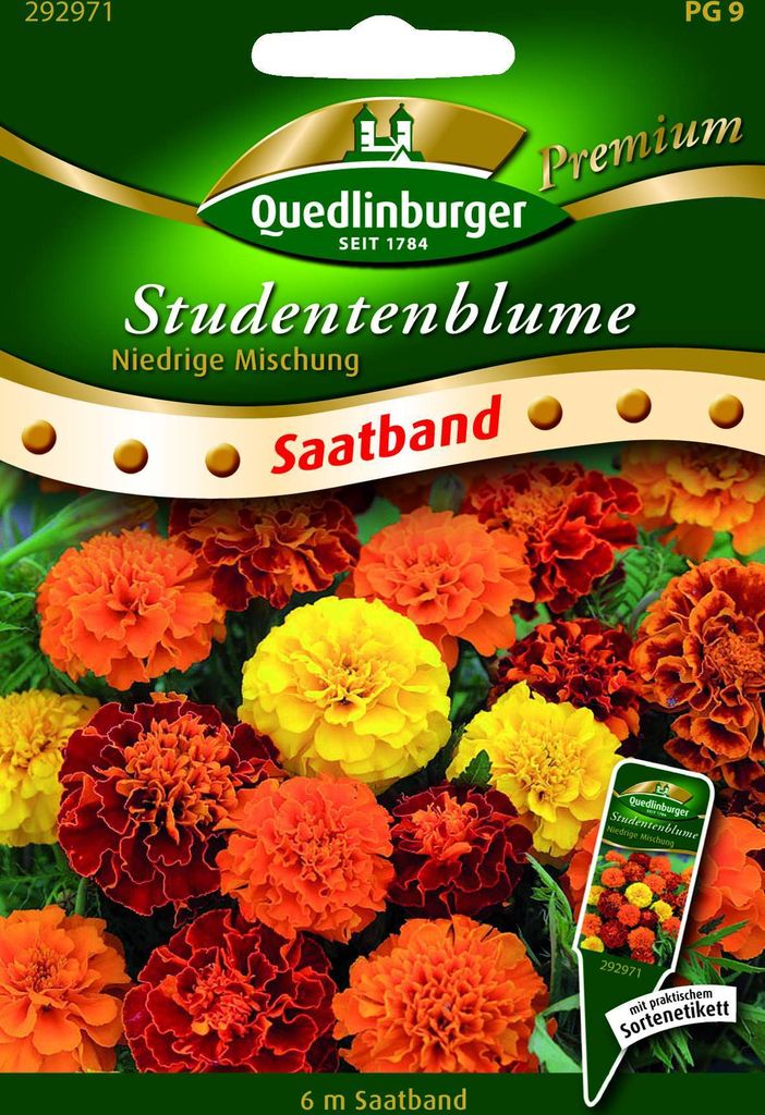 Studentenblume niedrige Mischung Quedlinburger Blumensamen Produktbild 