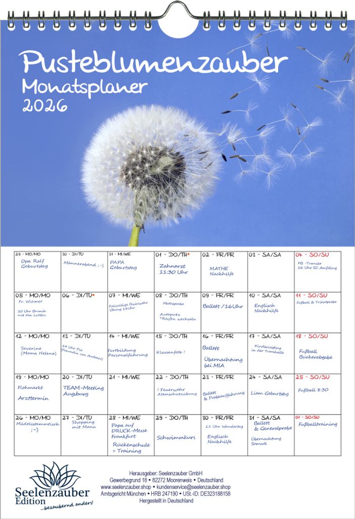 Pusteblumenzauber Planer DIN A4 Kalender für 2026 Löwenzahn Blumen Blüten - Seelenzauber