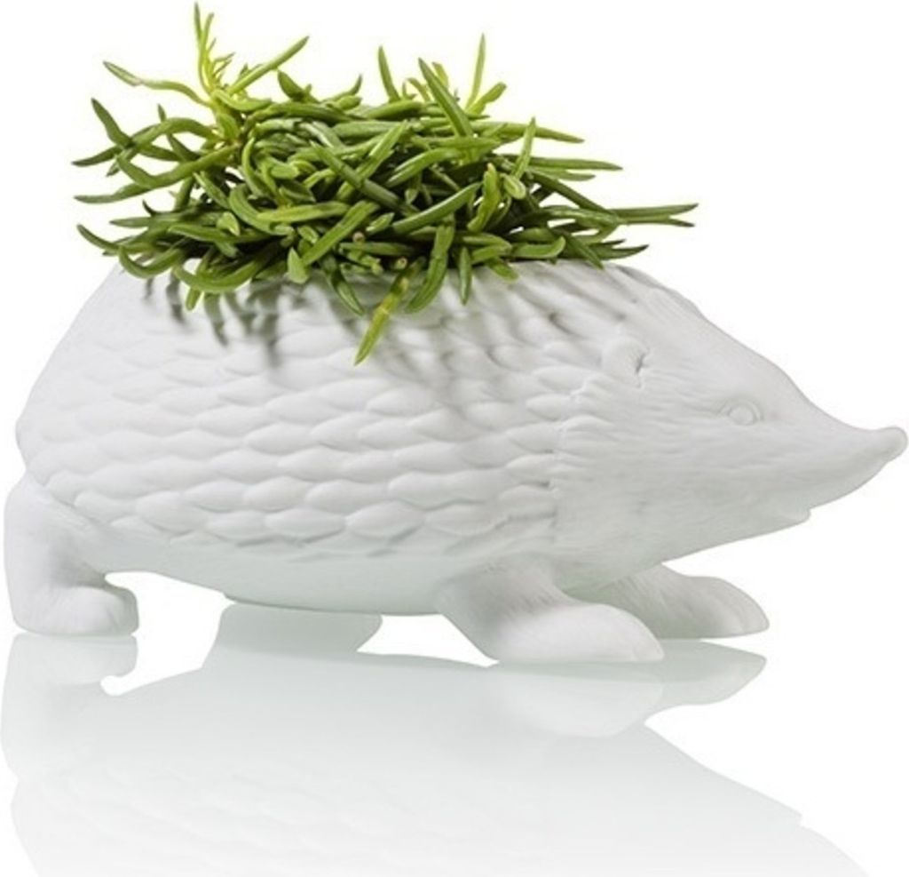 Porzellan-Blumentopf im Igel-Design für Zimmerpflanzen, Produktbild 