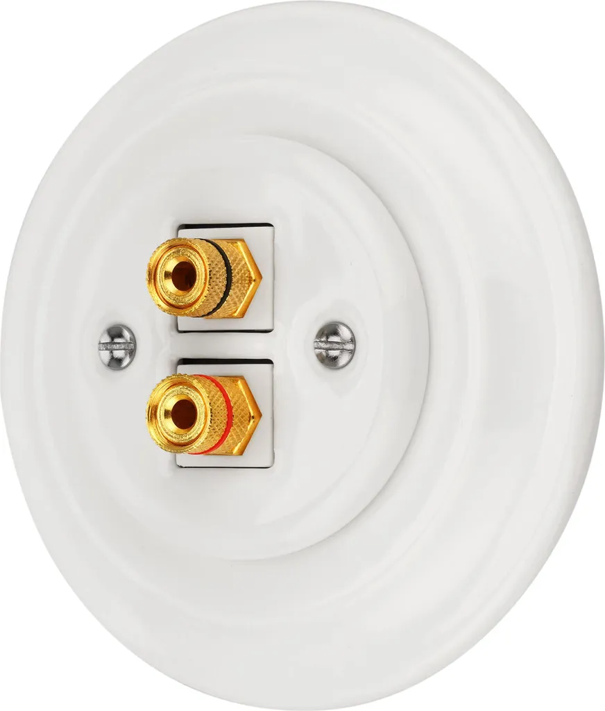 Haut-parleur encastrable porcelaine blanche double kit HiFi PR1