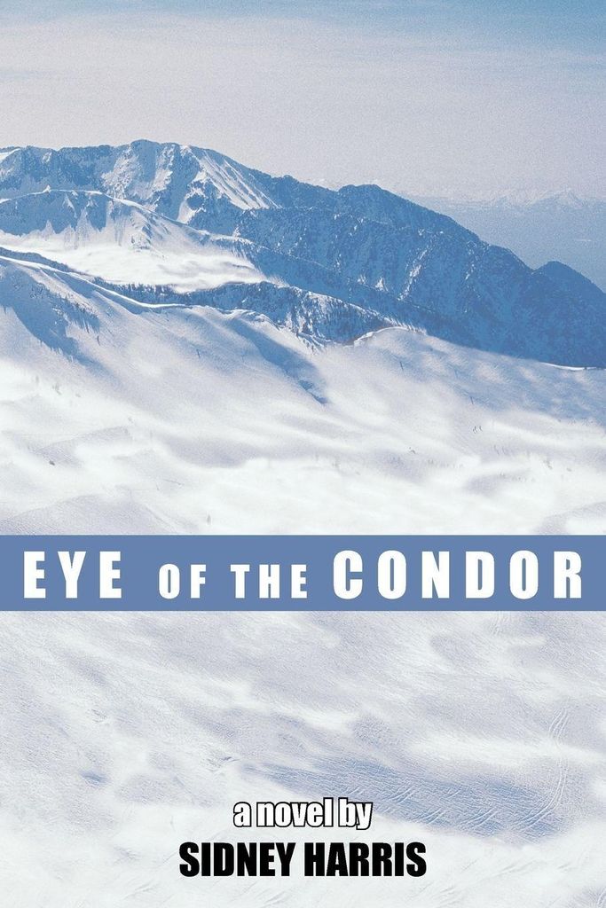Eye Of The Condor