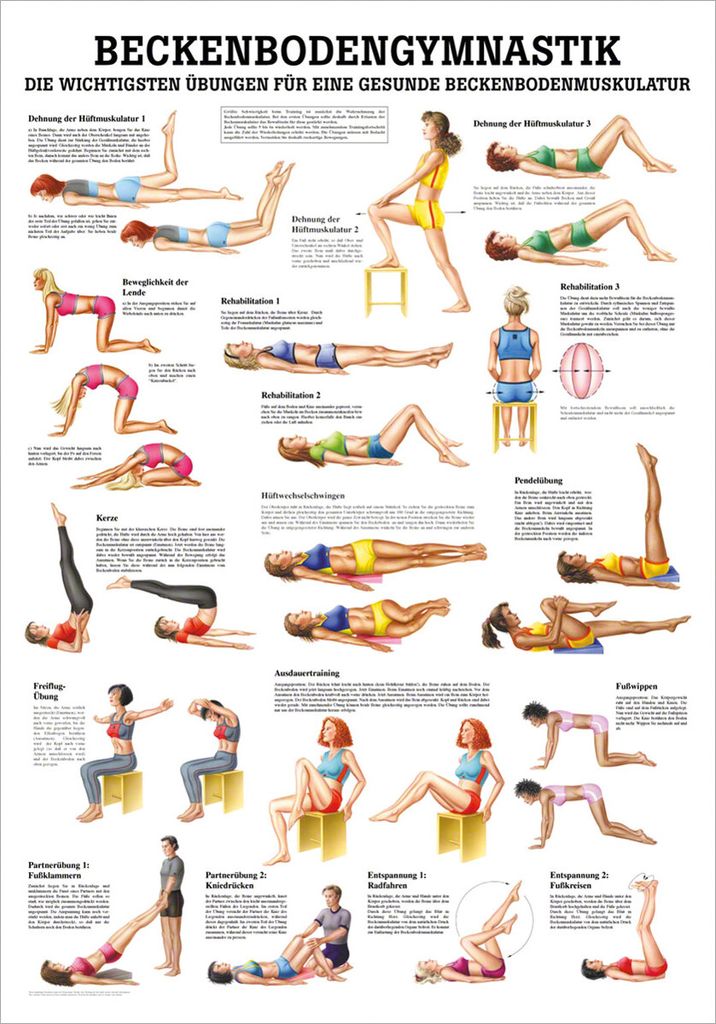 Beckenbodengymnastik Mini-Poster Anatomie 34x24 cm medizinische Lehrmittel