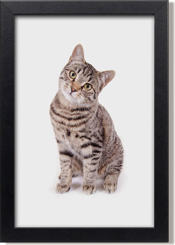 Bild 20x30 MDF-Rahmen, Wandkunst Katze