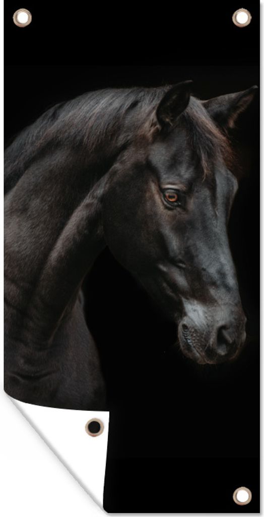 MuchoWow 80x160 cm Outdoor-Poster Gartendeko Sichtschutz Garten Poster für den Garten Pferd - Tier - Schwarz