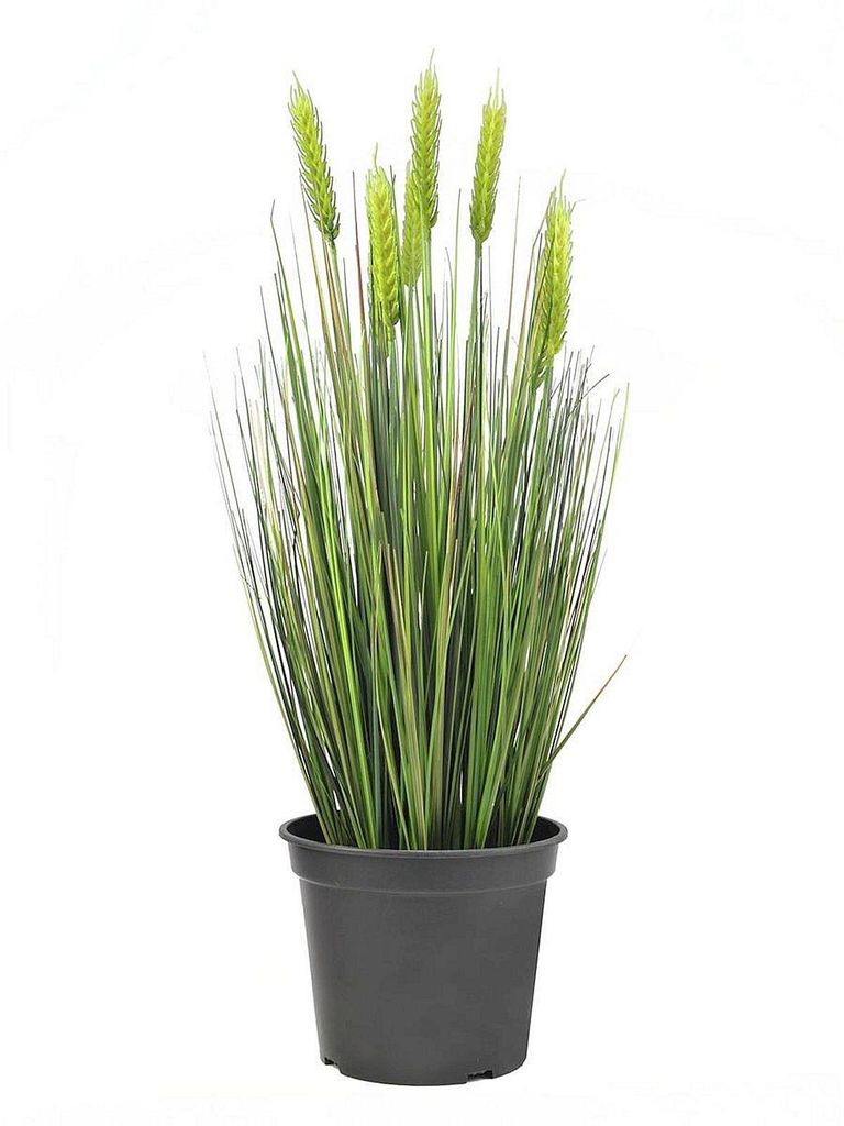 EUROPALMS Weizen Frühsommer, künstlich, 60cm (82505866)