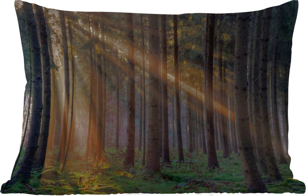 MuchoWow Outdoor Kissen - Bäume - Wald - Sonne - Pflanzen - 60x40 cm - Wetterfest - Lounge Kissen - Zierkissen - Kissen für Innenräume