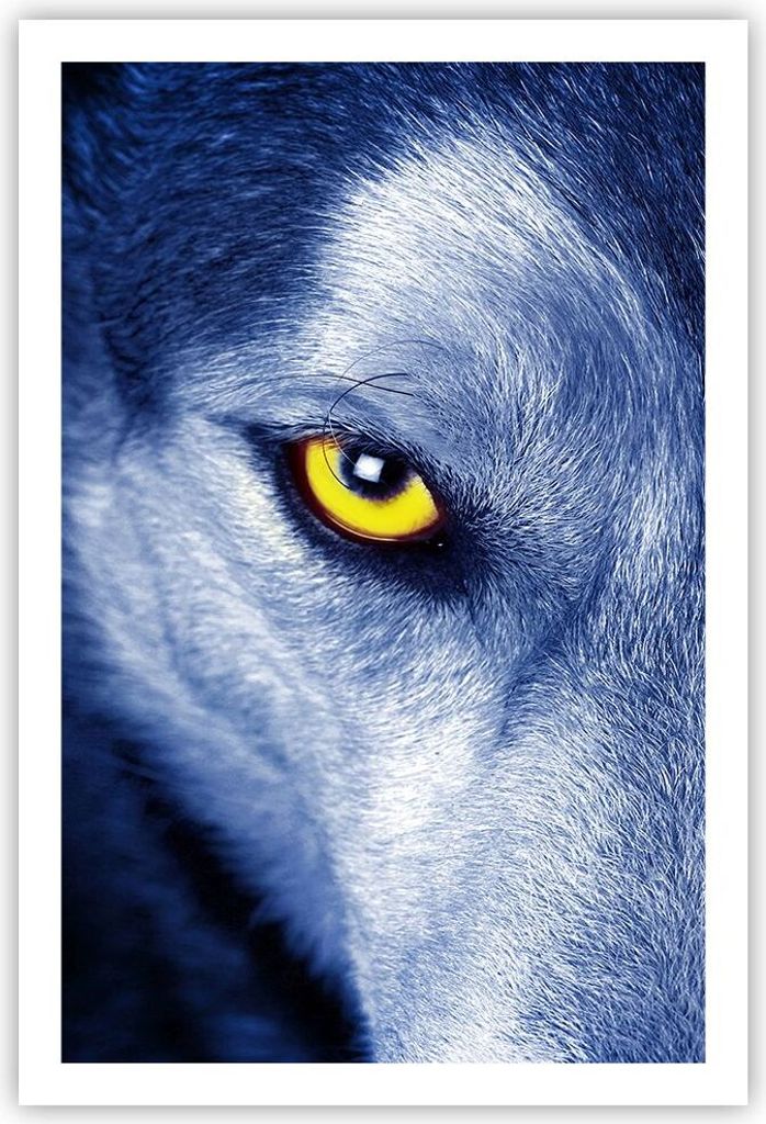 Poster - Poster ohne Rahmen - Schau der Wolf Augen - 61x91,5 cm - Wand Bild - Wanddeko - Wandbilder - Kunstposter - Wandposter - Bilder - Kunstdruc...