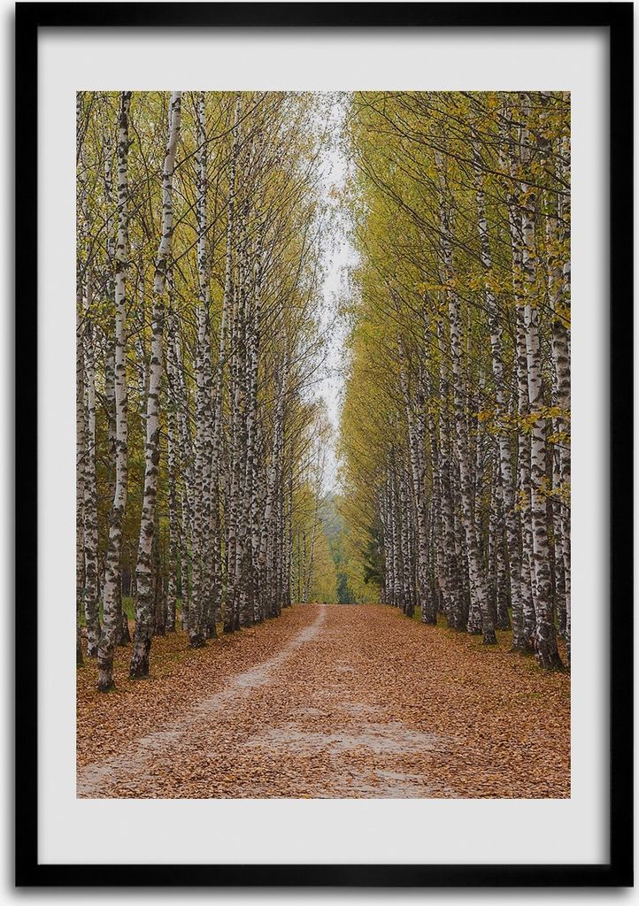 Bild - Bilderrahmen - 50 cm x 70 cm - MDF - Rahmen - Wandkunst Birkenwald