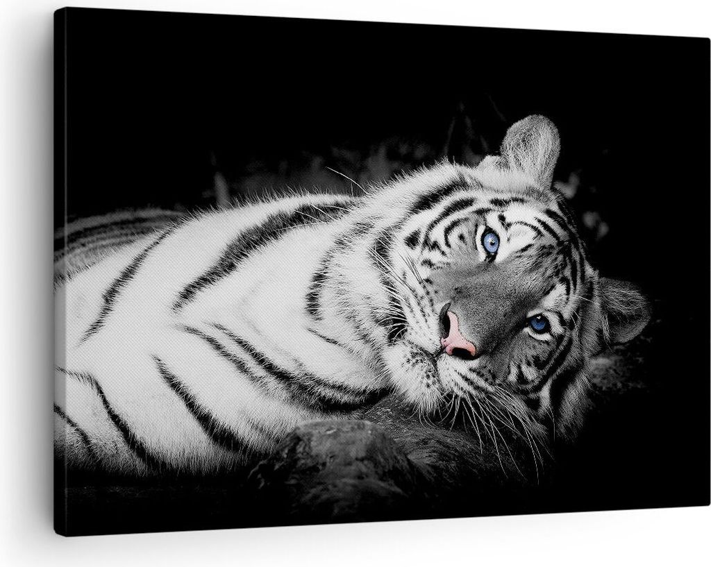 Bild auf Leinwand - Leinwandbild - Einteilig - Weiß Tiger Schwarz und Weiß - 70x50cm - Wand Bild - Wanddeko - Wandbilder - Leinwanddruck - Bilder...