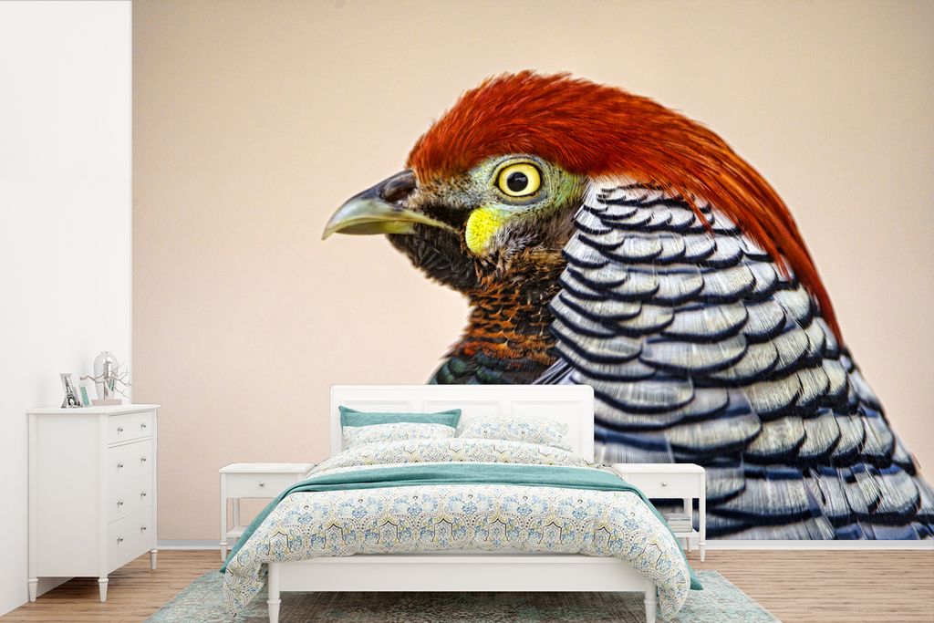 MuchoWow Fototapete für Wohnzimmer oder Schlafzimmer Wandtapete Vinyl Motivtapete Fasan - Porträt - Vogel - 360x240 cm - Vinyl-Tapete