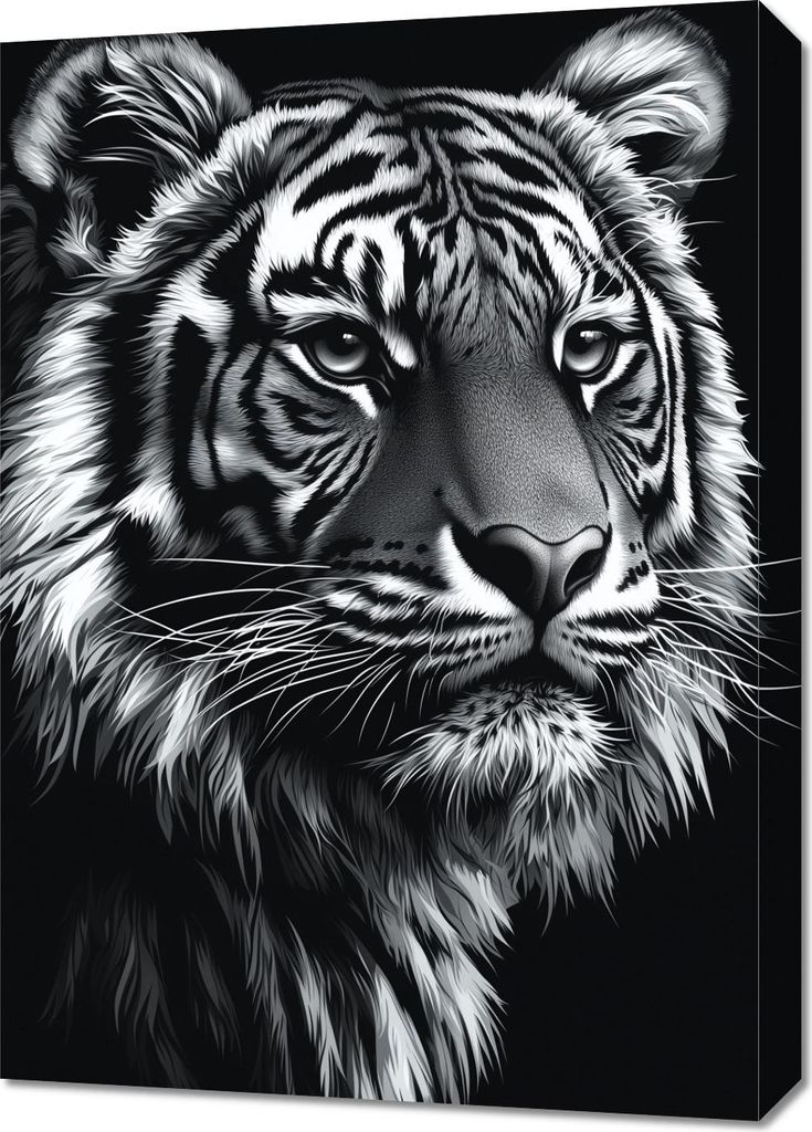 Bild 50x70cm Tierporträt für das Wohnzimmer | Tiger 2 | Schwarz Weiß