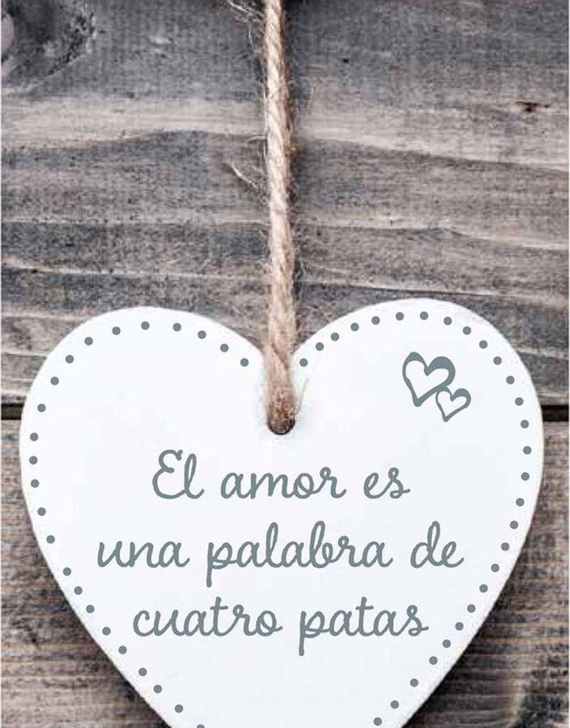 Dekoration zum Aufhängen Magnet & Steel El amor es una palabra de cuatro patas Herz 13 x 13 x 0,8 cm