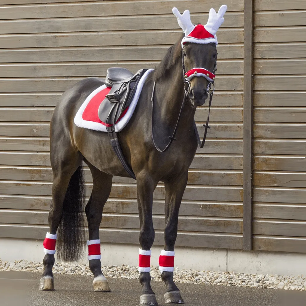 Tapis de selle Dressage QHP Noël Rouge - Confort et Look de Fête