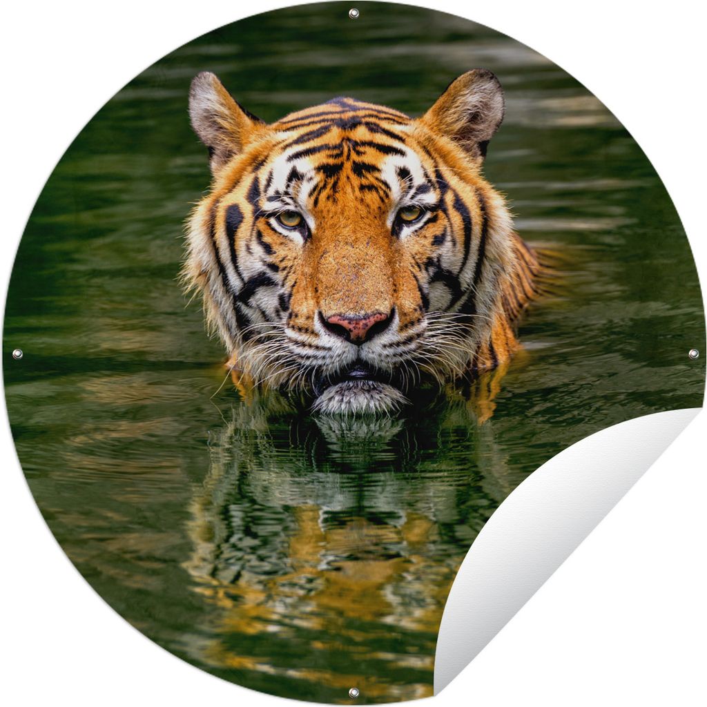 MuchoWow Gartenposter Outdoor-Poster Rund Tiger im Wasser Ø 150 cm Gartendeko Rundes Poster draußen