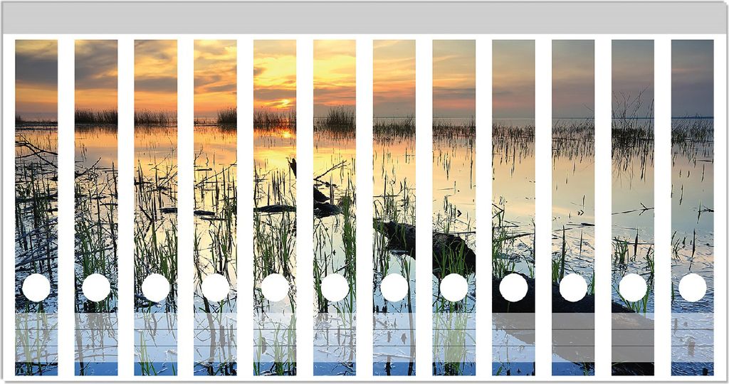Wallario Ordnerrücken Sticker, selbstklebend für schmale Ordner, 12 Stück, Motiv Schilf am Abend - Sonnenuntergang über der Seelandschaft