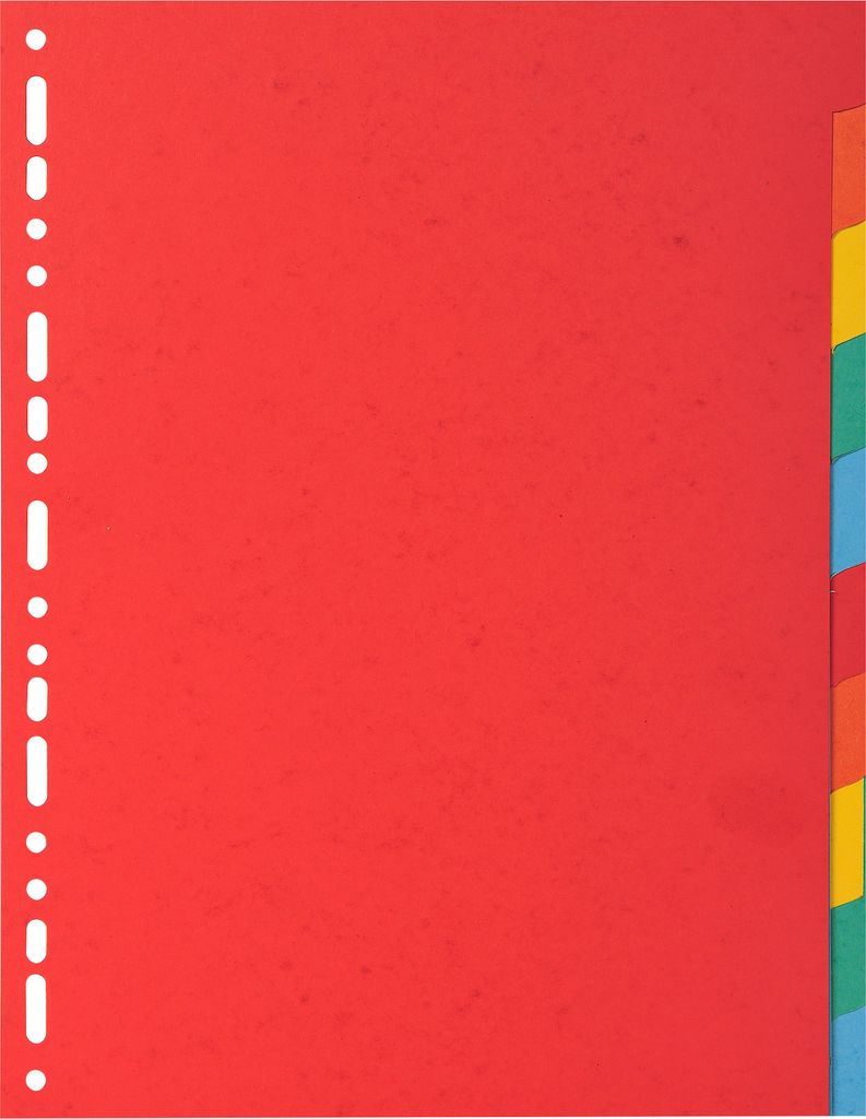 EXACOMPTA Karton-Register DIN A4 10-teilig