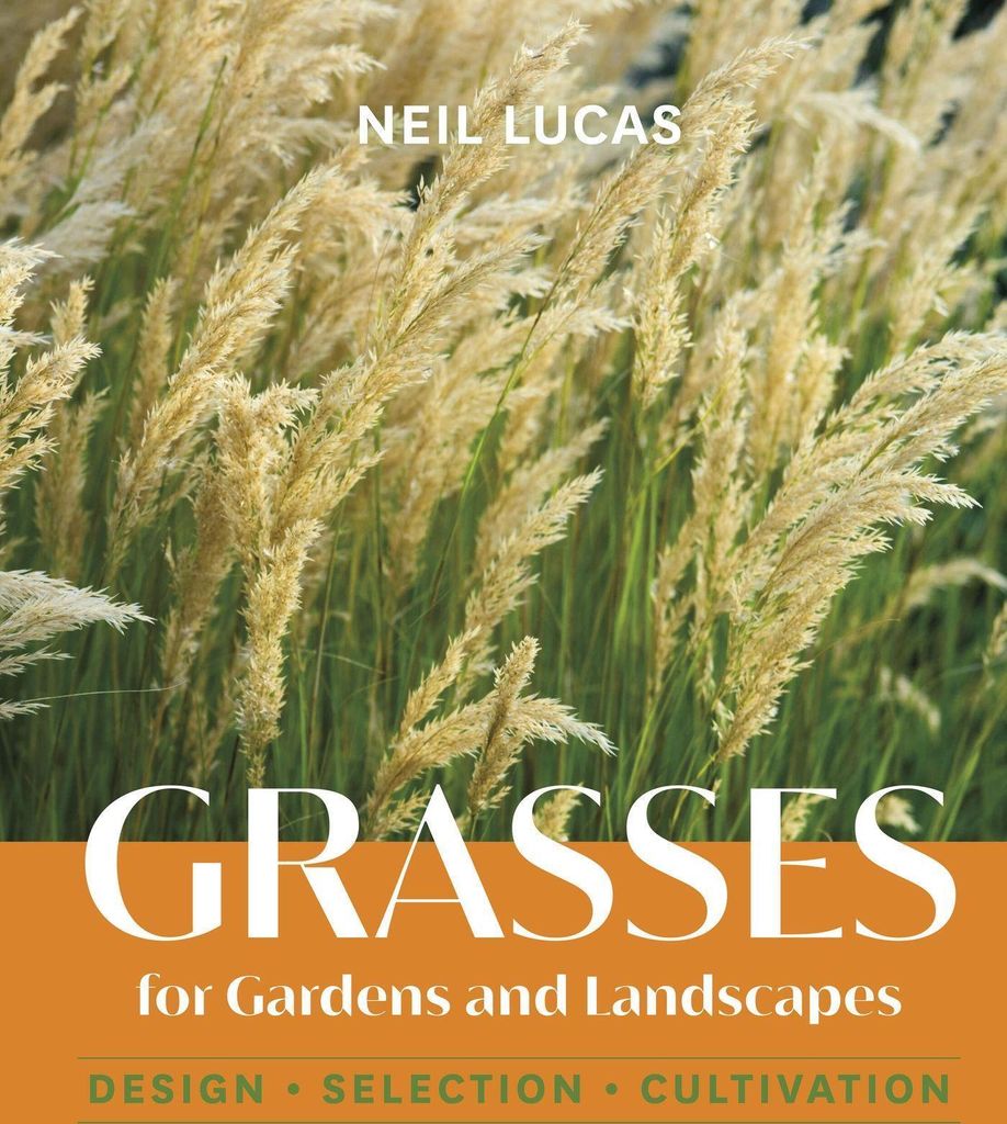 Grasses for Gardens and Landscapes
