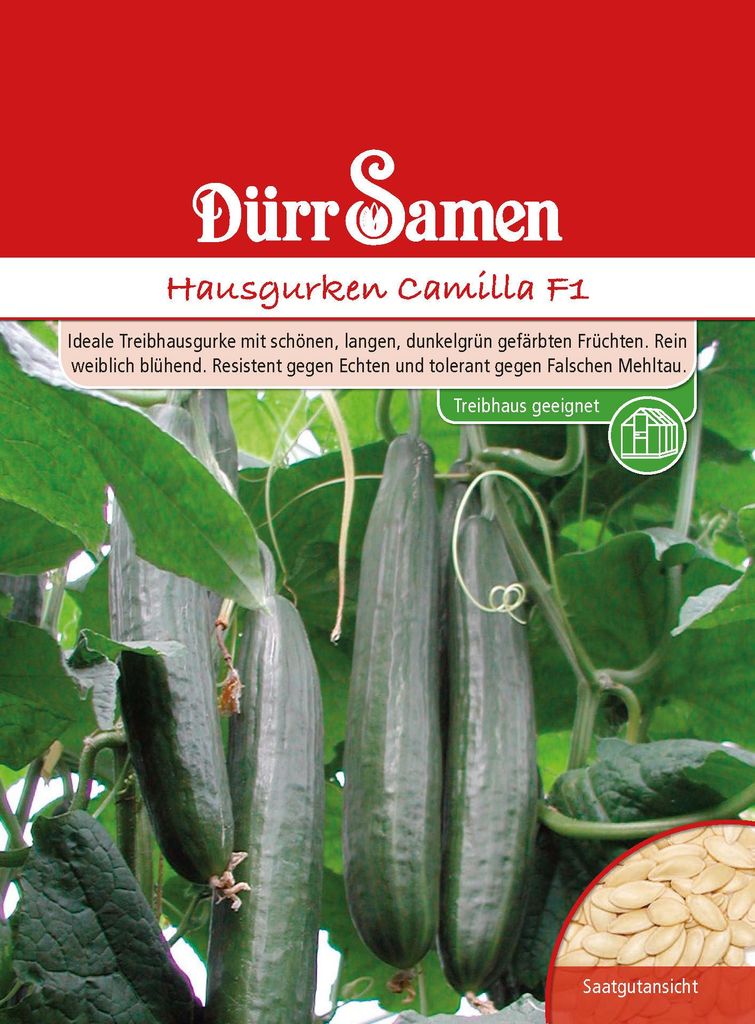 Dürr-Samen - Hausgurken Camilla F1 - Saatgut - 1112 Produktbild 