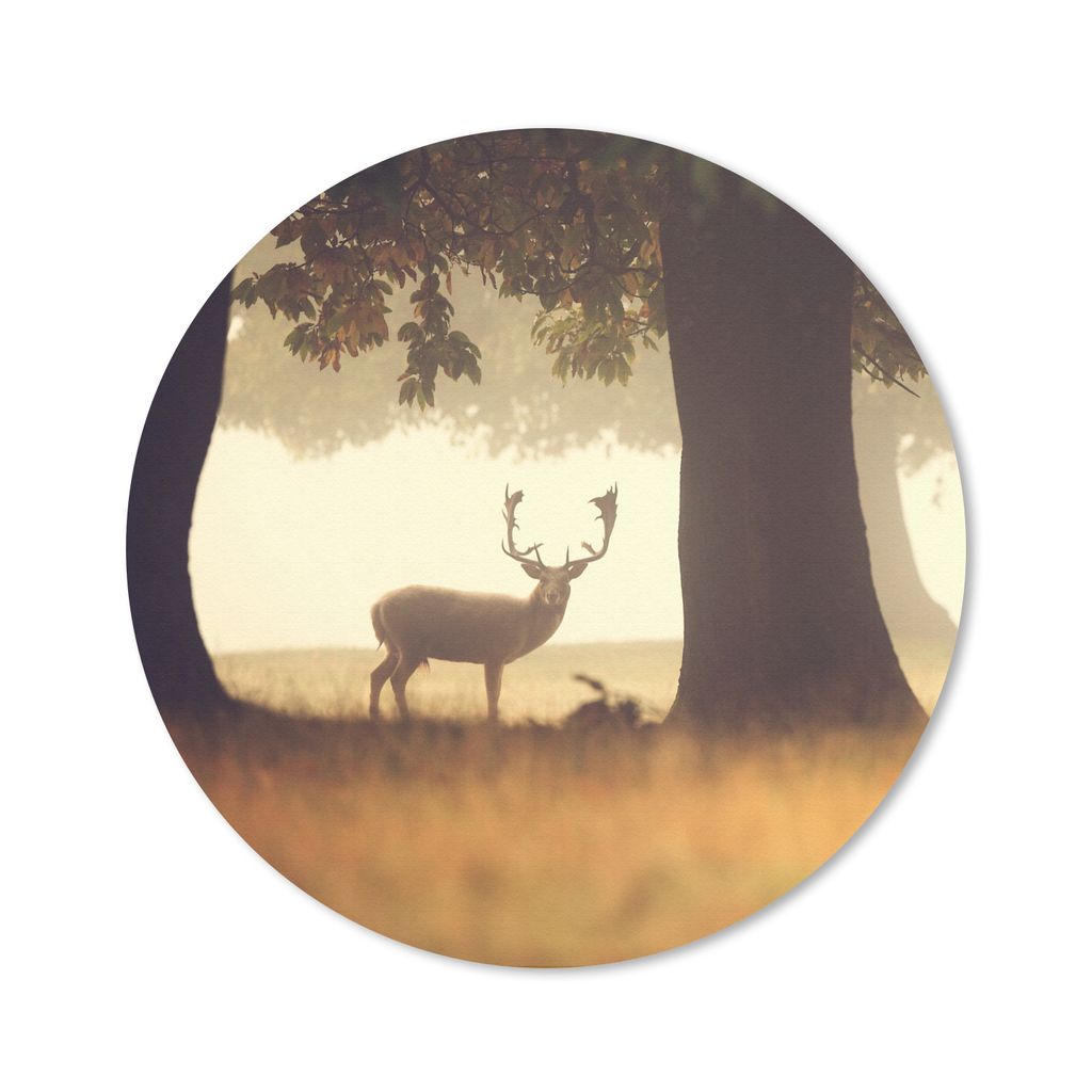 MuchoWow Mauspad Mousepad Hirsche - Bäume - Wald 50x50 cm - Mousepads - Maus Mat - Pad - Mausunterlage - Vinyl